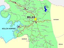 map_milas