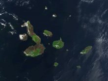 Galapagos satellite 2002