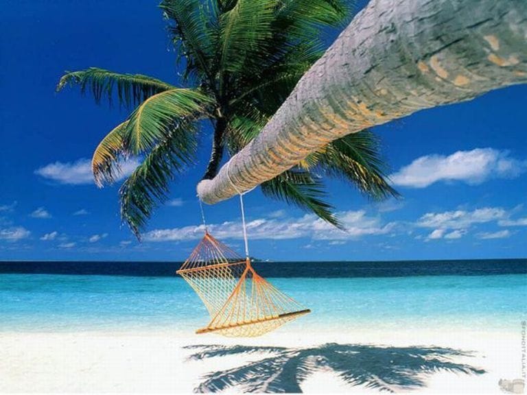 bora bora adalari bora bora adalari