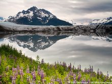 Sheridan Glacier, Cordova, Chugach National Forest, Alaska.