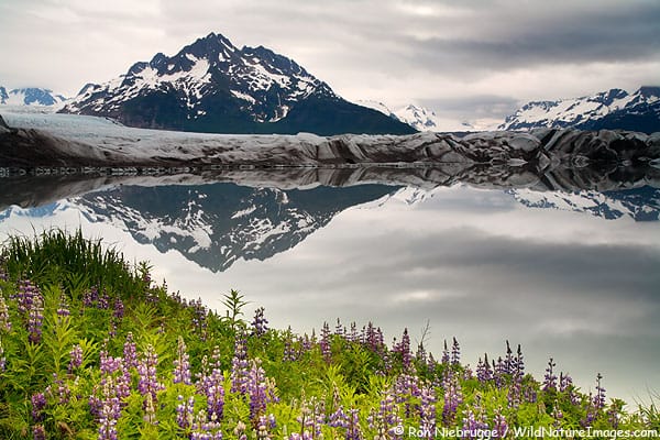 Sheridan Glacier, Cordova, Chugach National Forest, Alaska. Sheridan Glacier, Cordova, Chugach National Forest, Alaska.