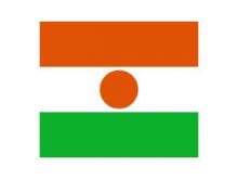 Flag_of_Niger.svg.png