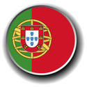 portugal flag icon vector_small