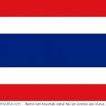 tayland bayrağı