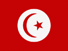tunus bayrağı